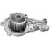 POMPA ACQUA FORD FIESTA FUSION 14TDCI 01