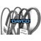 6PK1565 CINGHIA SERVIZI PEUGEOT 206 1.1 1.4 1.4 16V 98-