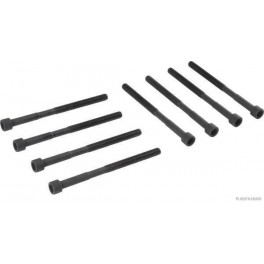 KIT BULLONI TESTATA HYUNDAI i10 J1280317 KIT BULLONI TESTATA HYUNDAI i10 J1280317