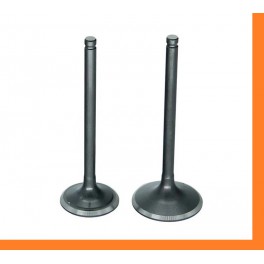 R3549/RCR VALVOLA SCARICO FIAT 126/500FL R3549/RCR VALVOLA SCARICO FIAT 126/500FL