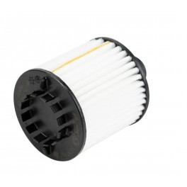 6000626025 FILTRO OLIO FIAT 500L MJET PURFLUX L1074 E6 6000626025 FILTRO OLIO FIAT 500L MJET PURFLUX L1074 E6