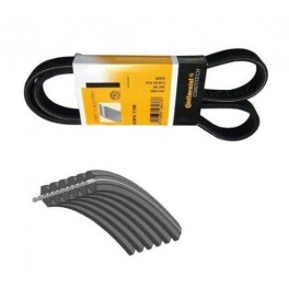6PK1180 CINGHIA FIAT PUNTO(188) 1.3MJET 03- NO CLIMA 6PK1180 CINGHIA FIAT PUNTO(188) 1.3MJET 03- NO CLIMA