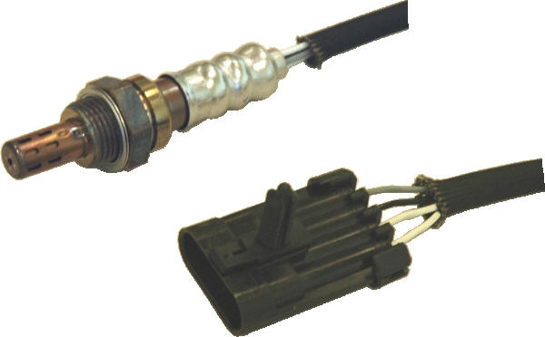 81567.JPG